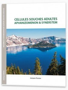Cellules souches adultes, aphanizomenon (Alpha One) et Synerstem, l'ouvrage des recherches de Jacques Prunier, fondateur de SynerJ-Health, sur cette algue fantastique.